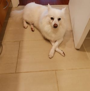 2nd clothing, daily necessities,cosmetic